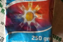 IMG-20200820-WA0037