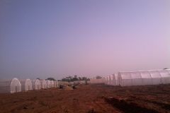 IMG-20151217-WA0011