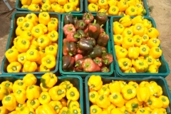 IMG-20180919-WA0000