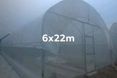 IMG-20200524-WA0003