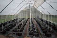 IMG-20200713-WA0001