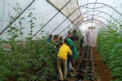 IMG-20200809-WA0012
