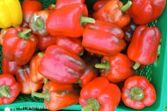 IMG-20201218-WA0011
