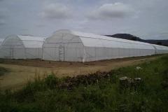 IMG-20210119-WA0030
