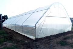 IMG-20210119-WA0032