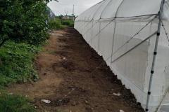 IMG-20210119-WA0036